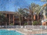 Sheldon Palms Apartments in Tampa, FL - ForRent.com