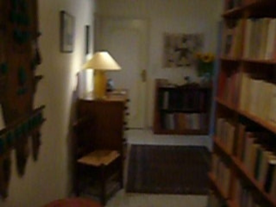 lyon apartment by Diane