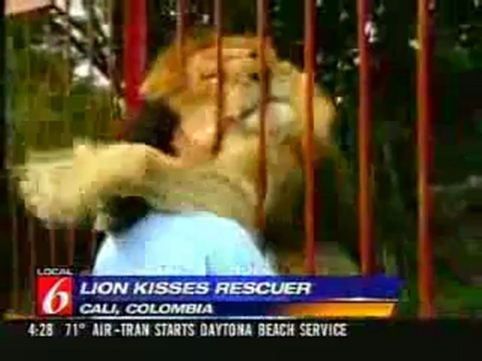 Who said lions eat people at the zoo