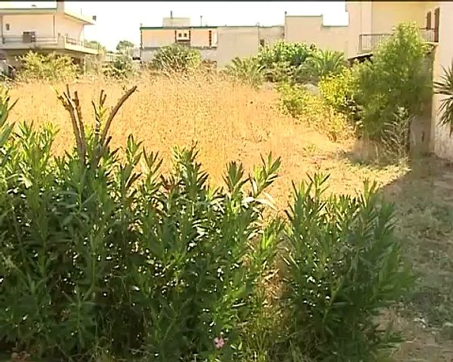 Αντιμέτωποι με τους ψύλλους στα Καλύβια Λαμίας
