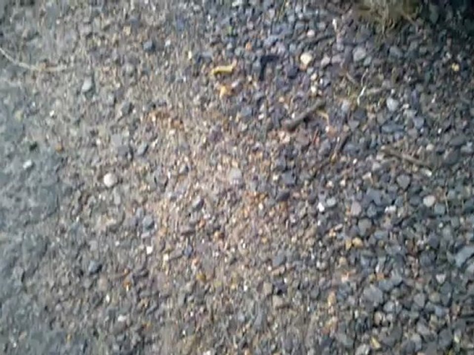 video-2012-08-29-13-15-29