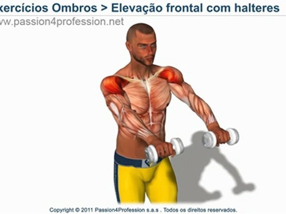 Elevação frontal com Halteres
