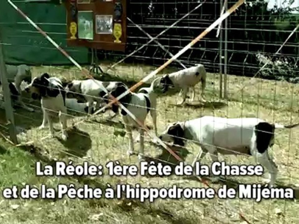 La Réole: 1ère Fête de la chasse et de la pêche