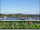 Ecologistas denuncian vertido de aguas residuales en la ría de Villaviciosa