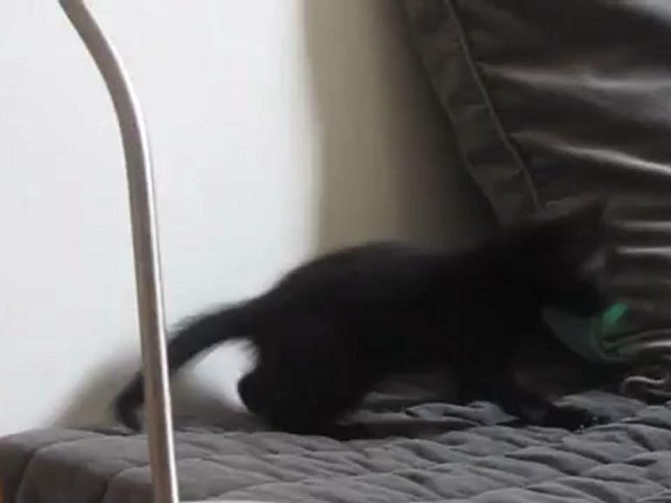 Hugolin (1 mois 1/2) fait le fou