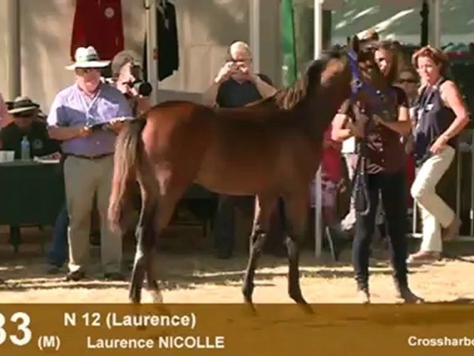 Lot 83