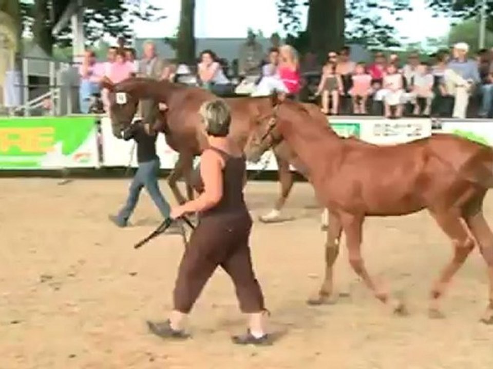 Lot 92