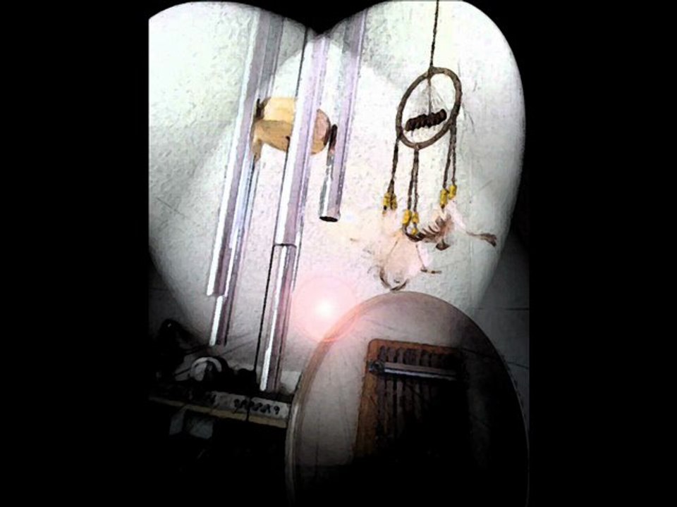 WHEN A DOG IS DREAMING BY FABIENNE BARBERET 2012