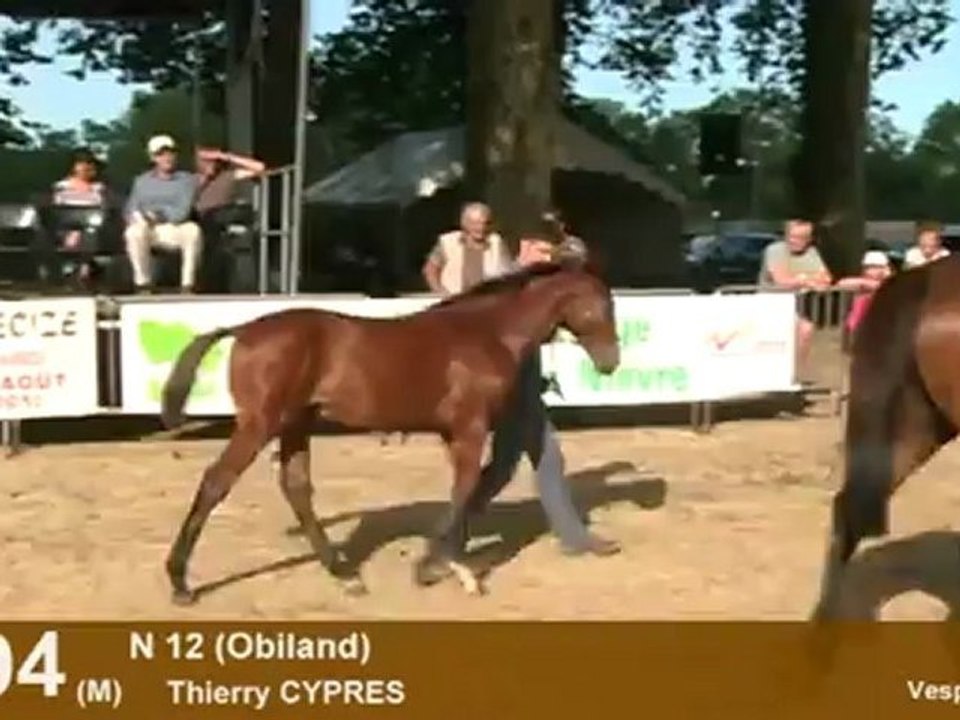 Lot 94