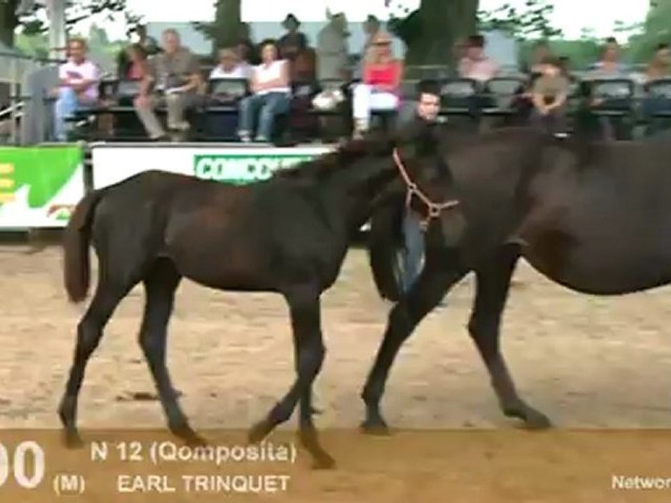 Lot 100