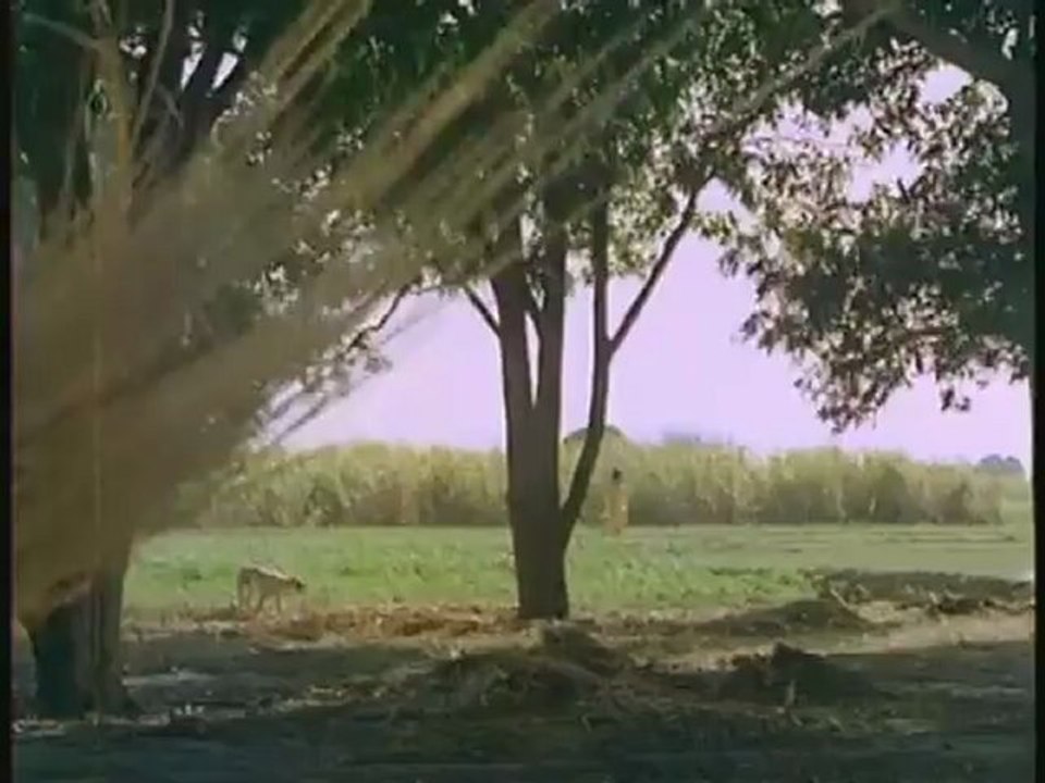 Raj Kumar -Milo Na