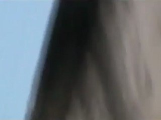 Syria فري برس  حلب الميسر  الدمار الذي لحق بالمباني الحكومية 29_8_2012 ج2