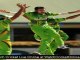 watch Pakistan vs Australia 2nd ODI August 31st stream online
