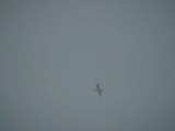 Syria فري برس  ادلب   تفتناز   الطيران الحربي في سماء المدينة   29 8 2012