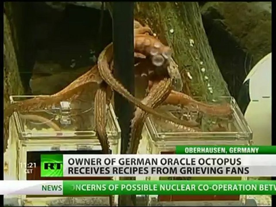 Paul the Octopus gets death threats after predicting Spain win over Germany
