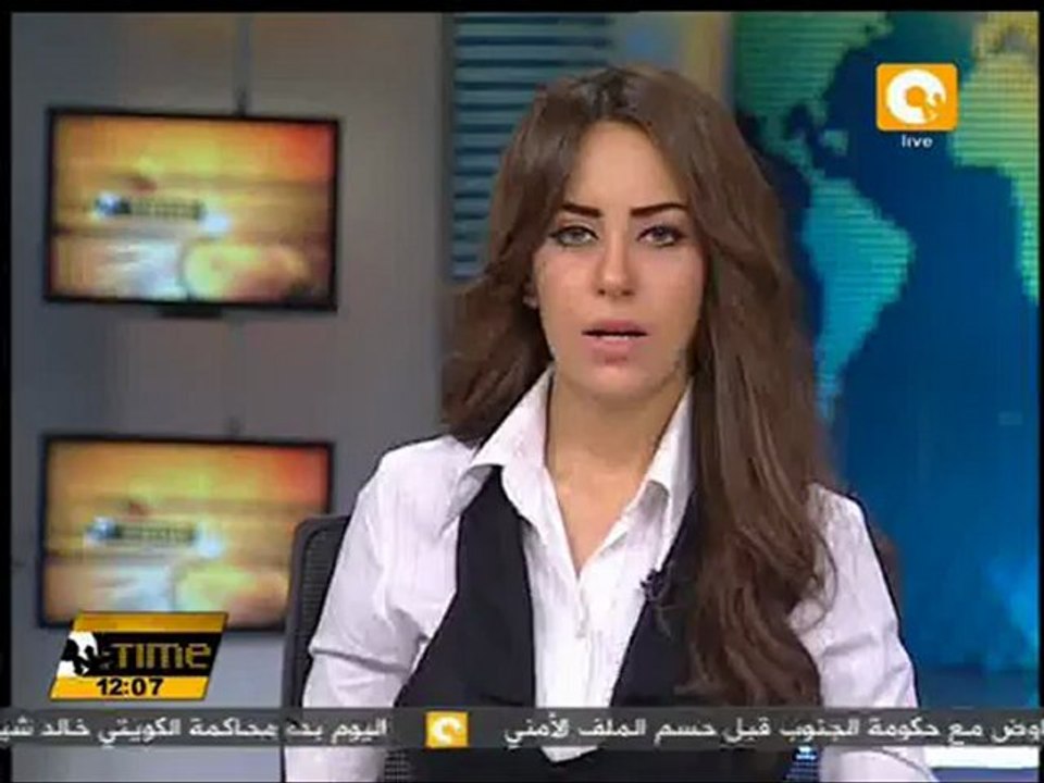 اليوم.. نظر الدعوى المدنية فى قضية اللوحات المعدنية