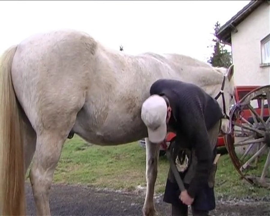 Je me forme - j'ai un métier : Joël Tartar - Maréchal-Ferrand