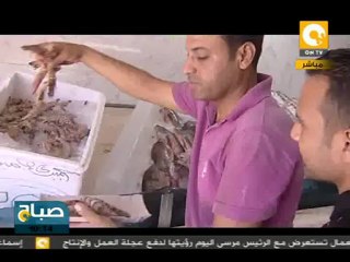 صباح ON: أخبار سوق السمك في رمضان