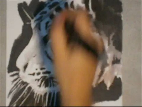 Speed drawing / dessin en accéléré : Tigre