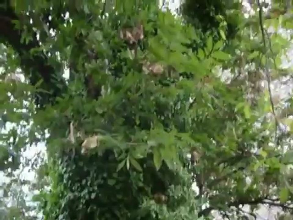 Tempo di cambiare Nibiru 2012