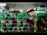 Benetton Treviso vs Ospreys Live Match