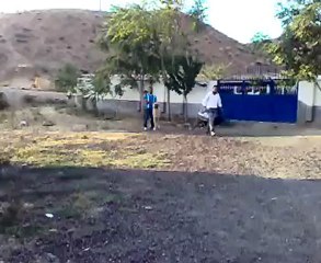 Aksaraylı yakubun ala vs Aksaraylı ayı