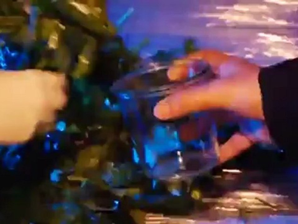 Das Gourmet-Festival 'Copenhagen Cooking' | Euromaxx