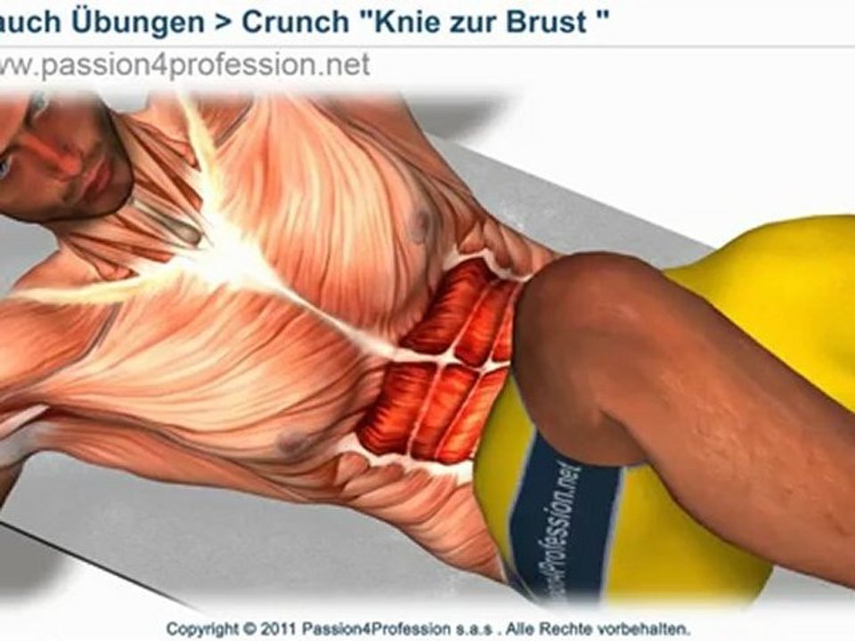 Bauch Übungen für Anfänger