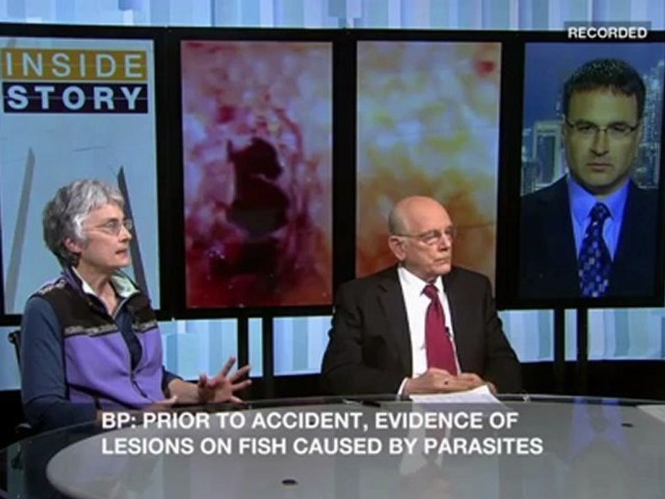 Inside Story Americas - Environment still engulfed by BP's oil spill