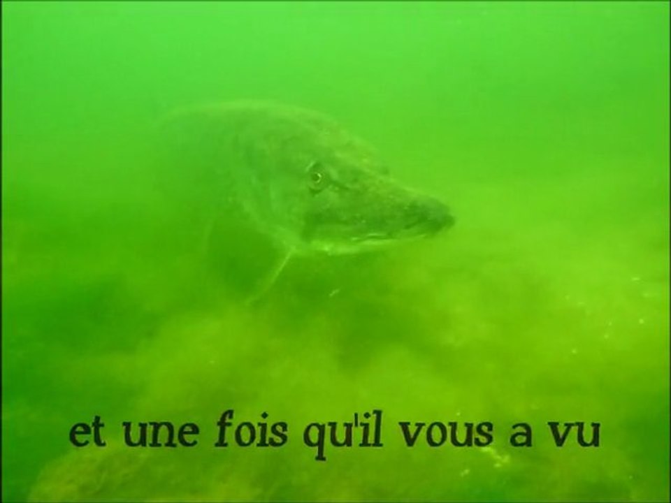 lunker pike