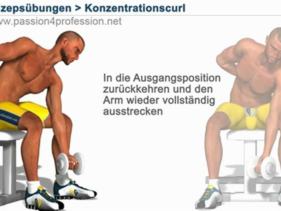 Konzentrations curl - Bizepstraining