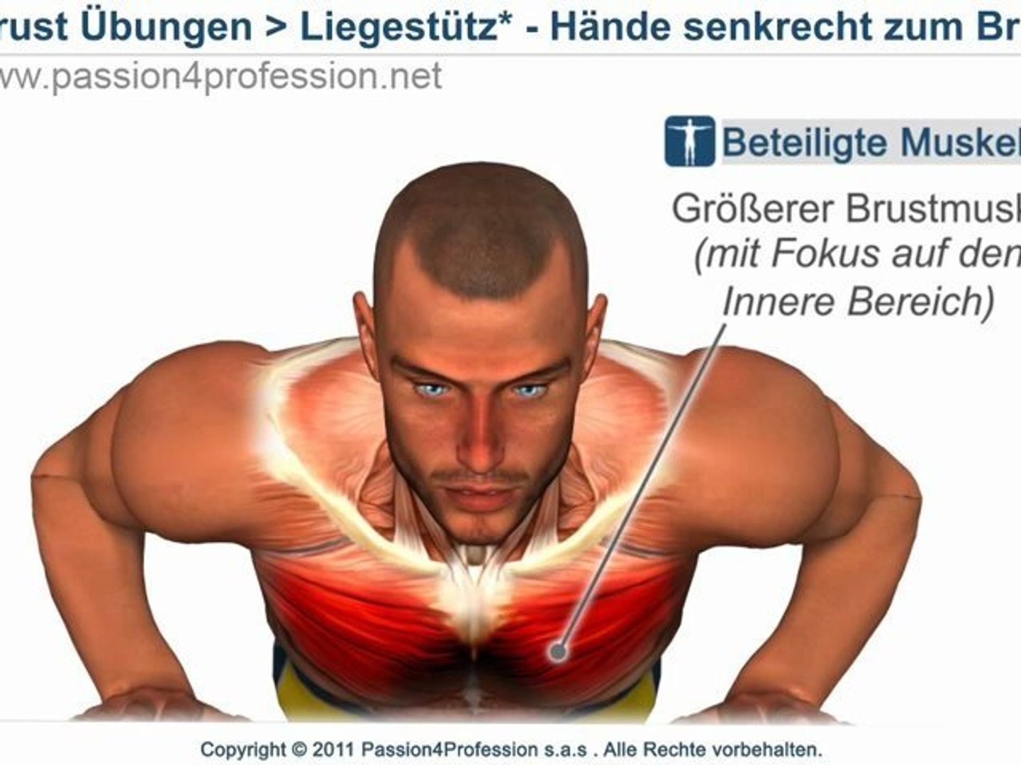 Innere Brustmuskel Trainieren Liegestutz Video Dailymotion