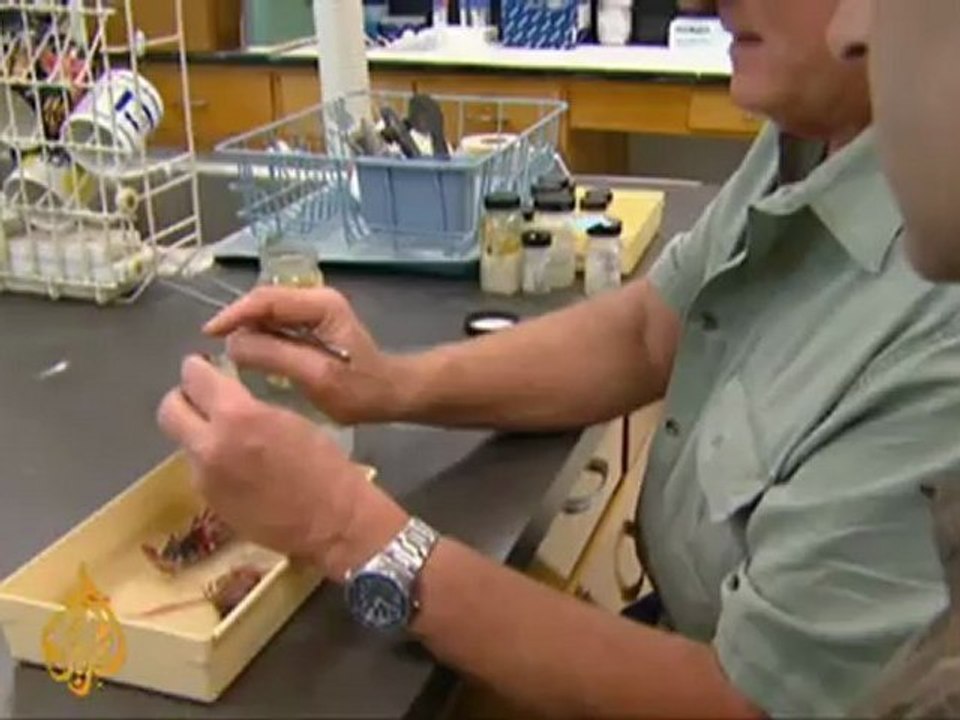 US makes first arrest in BP oil spill case