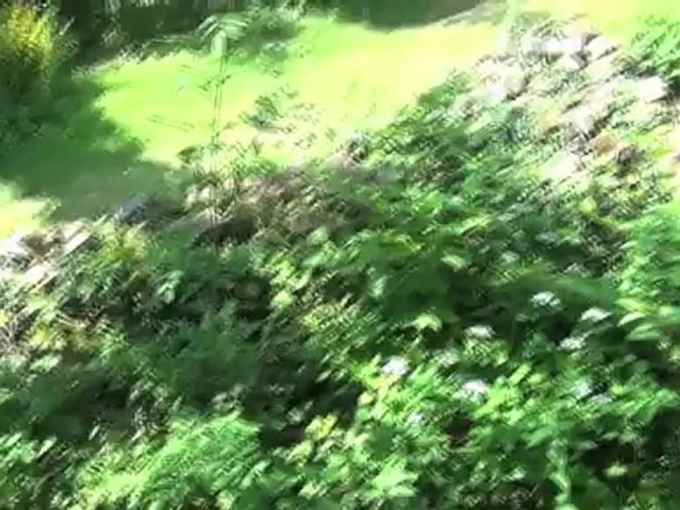 Léo DELARUE, "Ombres passantes" (Fête de l'Eau Wattwiller 2012)