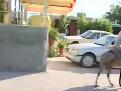 Albania: Conflict over the Hoxha memorial | European Journal