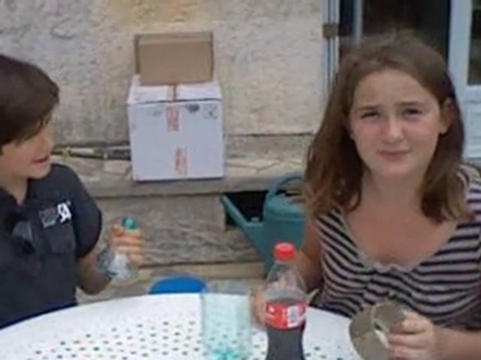 Piège à guêpe, mouches, abeilles etc ...