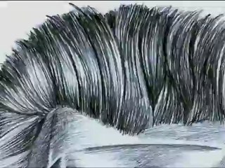 Io so chi sono  (Simone Massi, 2006)