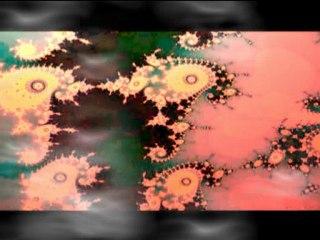 Survival Of The Fittest 2012