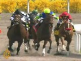 Injured US race horses given second chance