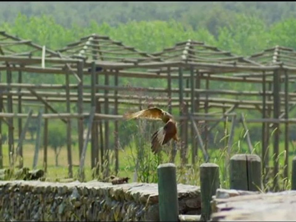 Mysteryland Chili   2012 Teaser