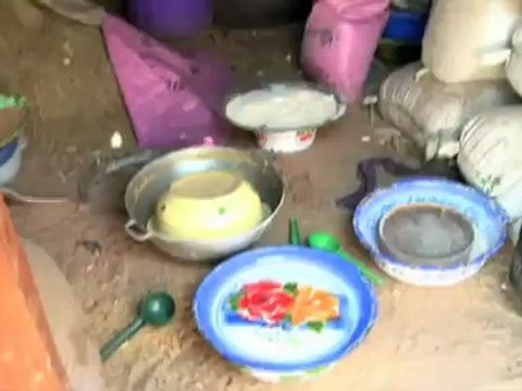 Agricultural Investments - beyond Rio+20