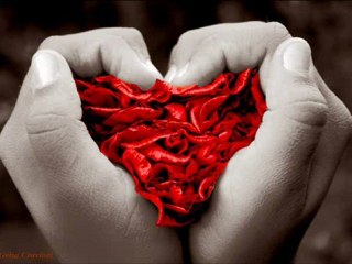 Primeira dama - Romances (By Lipe)