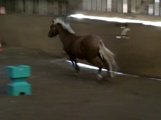 Aqua 1er test barres 2