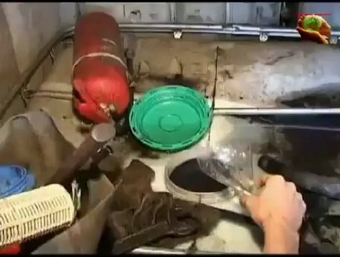 FFI - достойный ответ повышению цен на топливо