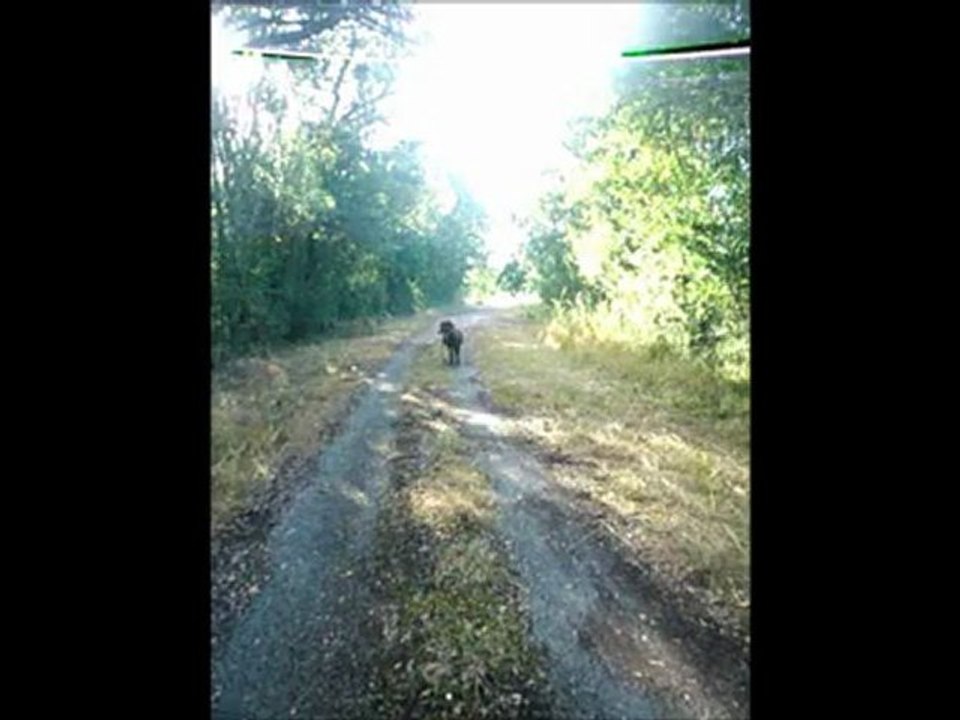 dressage+balade //30.08.12//