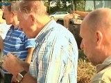 Lupine geoogst voor duurzame en extra lekkere varkens - RTV Noord