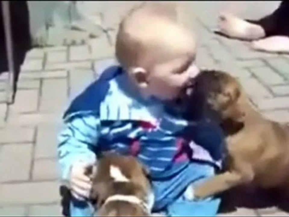 Trafik Mağdurları Derneği, Beştepe Mah.Emek Ankara 0312 214 11 64