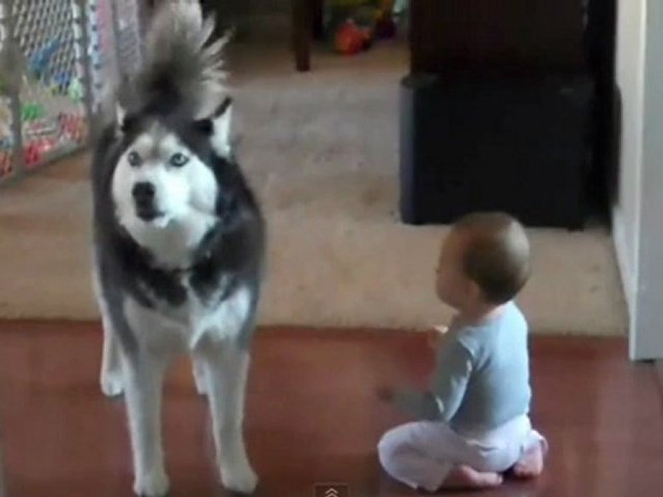 Trafik Mağdurları Derneği  Emek  Ankara 0312 214 11 64