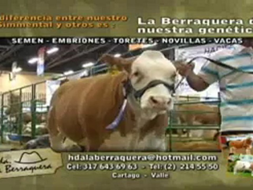 GALLOS VALLEDUPAR Agosto 30 de 2012