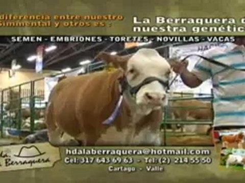 GALLOS VALLEDUPAR Agosto 30 de 2012